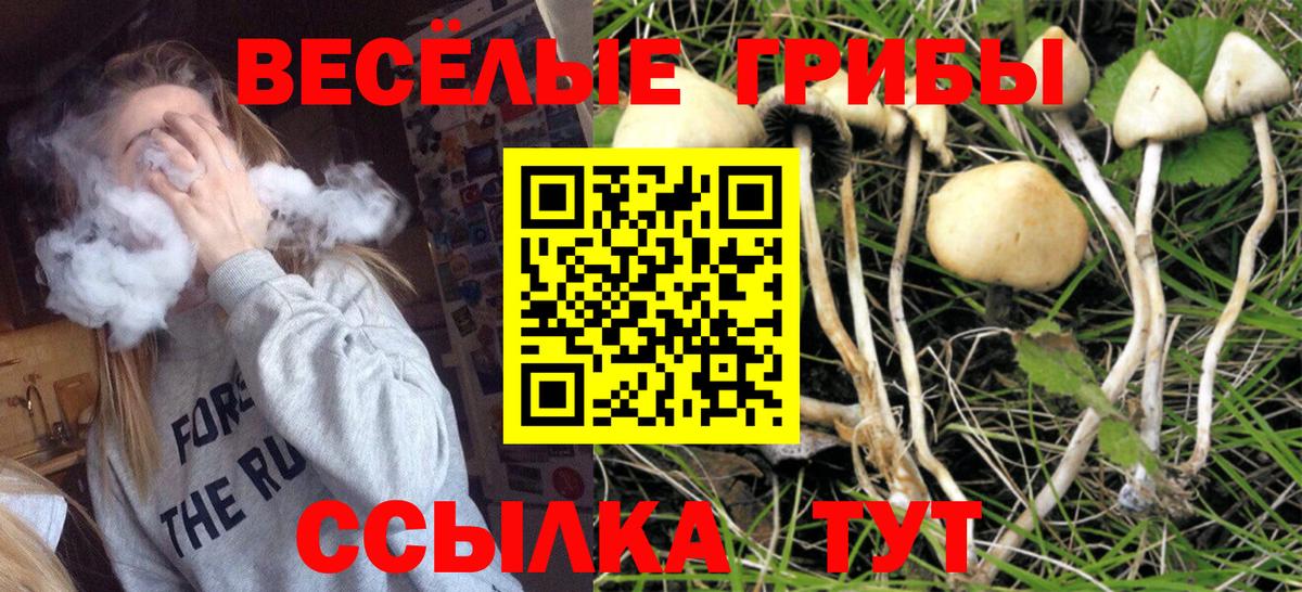 Псилоцибиновые грибы MAGIC MUSHROOMS  Вход с VPN  Советская Гавань 